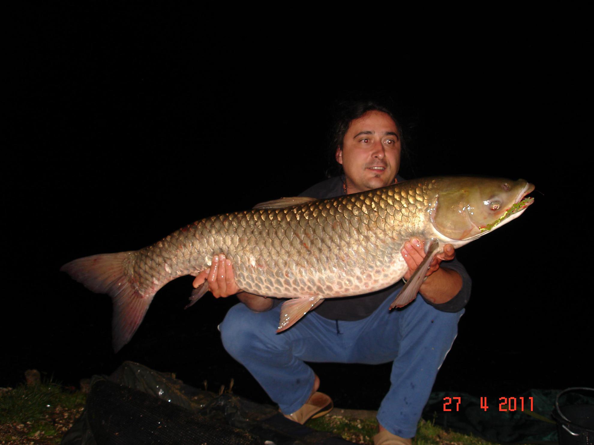 THE BIGS OF 2011 - p1000114.JPG